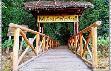 Bintan Mangrove