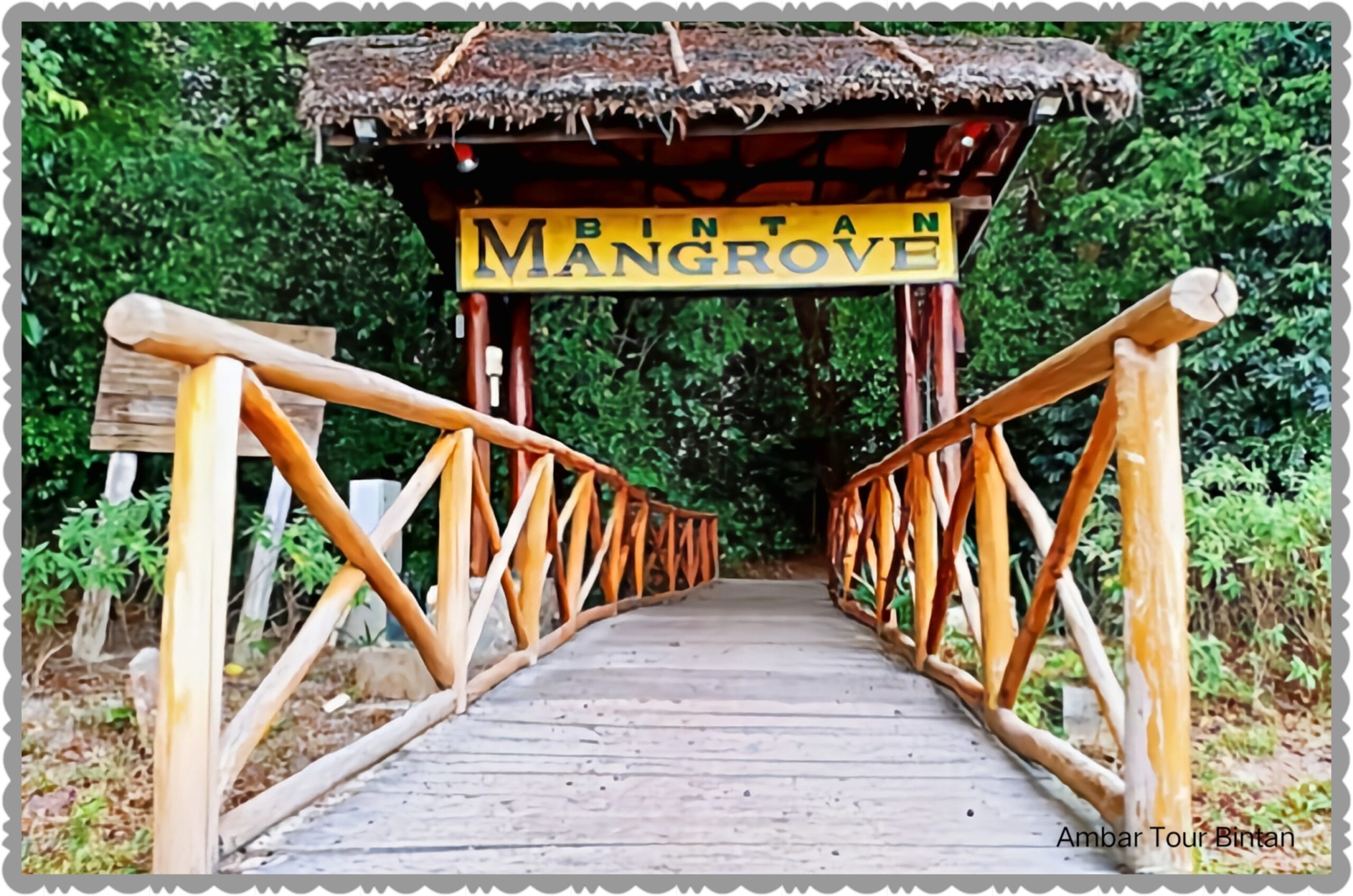 Bintan Mangrove