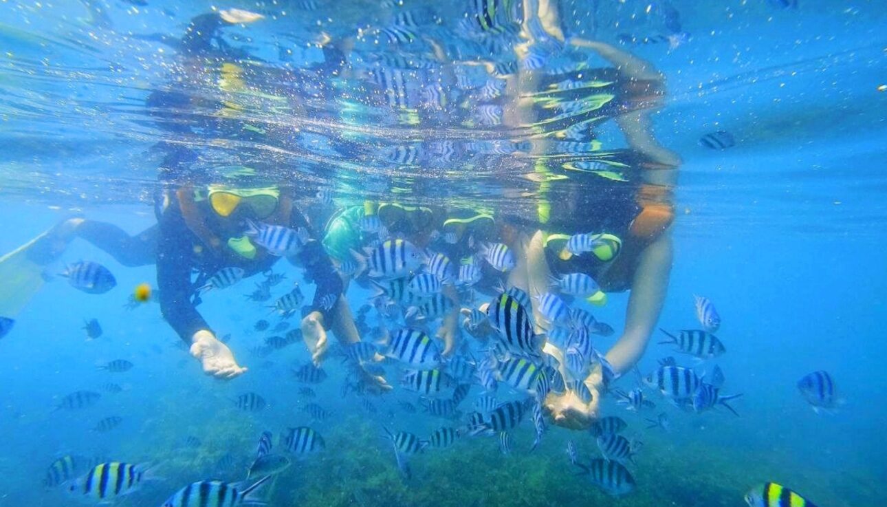 Snorkeling Tour