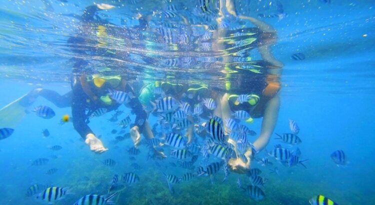 Snorkeling Tour