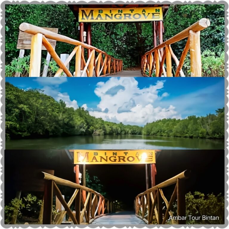 Mangrove and Fireflies Tour