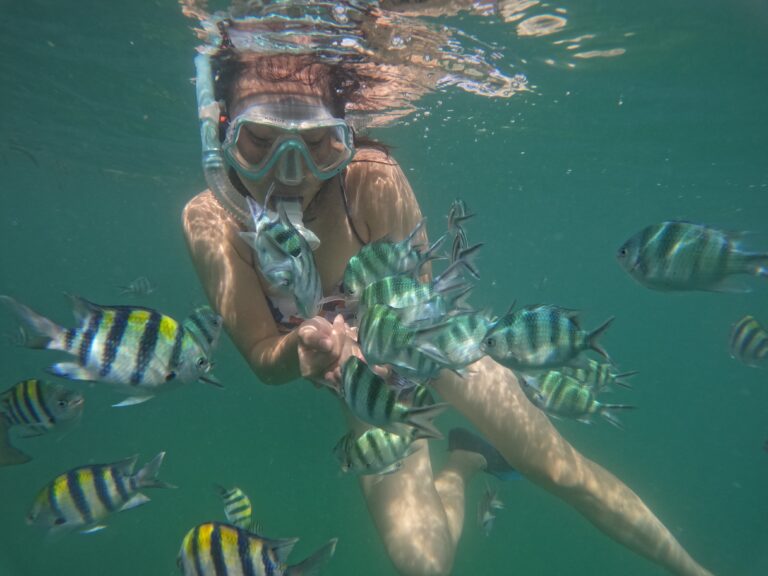 Snorkeling Tour Bintan